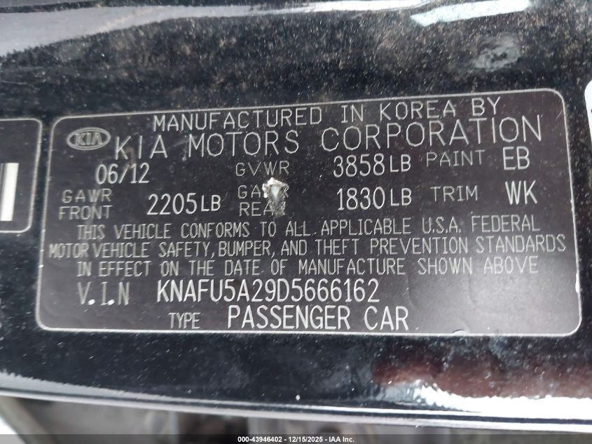 2013 Kia Forte Ex VIN: KNAFU5A29D5666162 Lot: 43946402