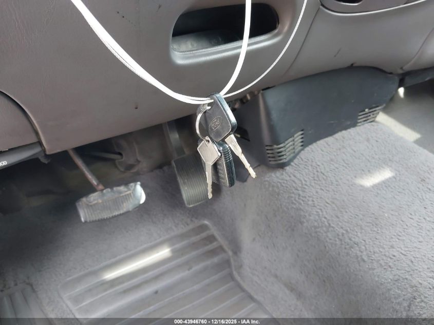 1999 Ford F-150 Lariat/Xl/Xlt VIN: 1FTRX17L1XKB04374 Lot: 43946760