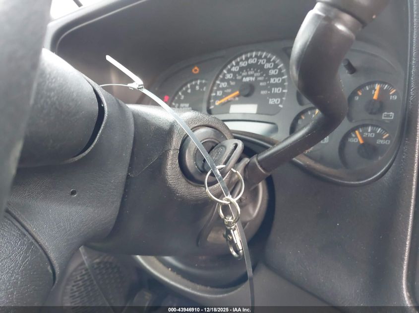 2005 Chevrolet Silverado 1500 Work Truck VIN: 1GCEC14X25Z311748 Lot: 43946910