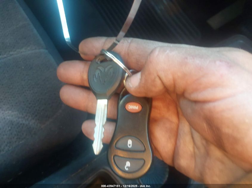 2003 Dodge Dakota Slt VIN: 1D7HL48N53S188563 Lot: 43947151