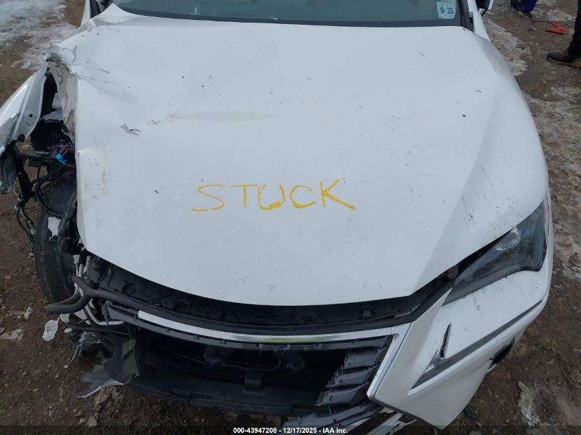 2021 Lexus Nx 300 VIN: JTJDARDZ0M5020105 Lot: 43947208