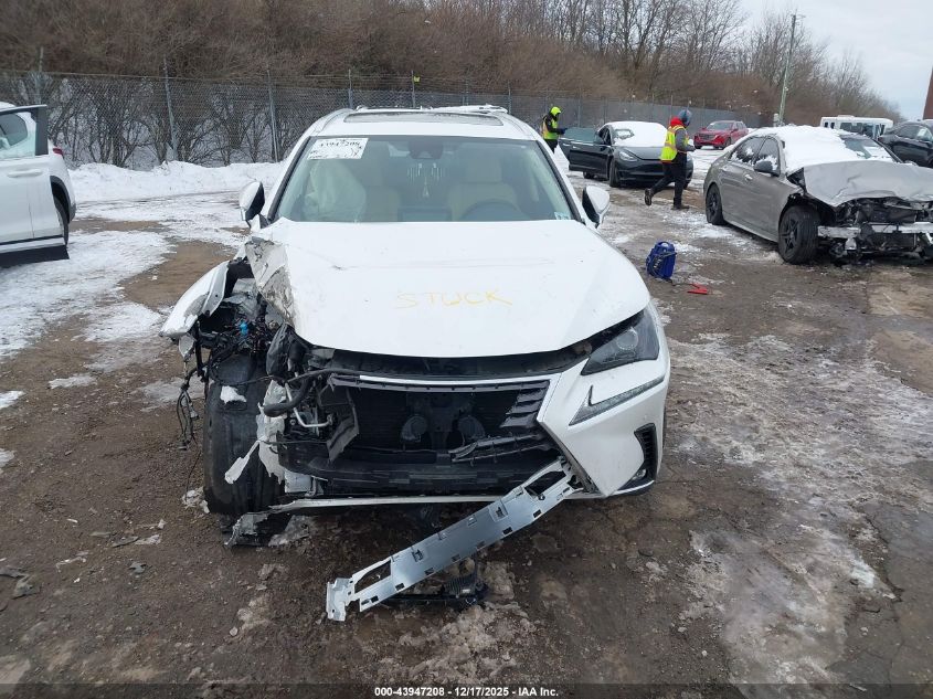 2021 Lexus Nx 300 VIN: JTJDARDZ0M5020105 Lot: 43947208