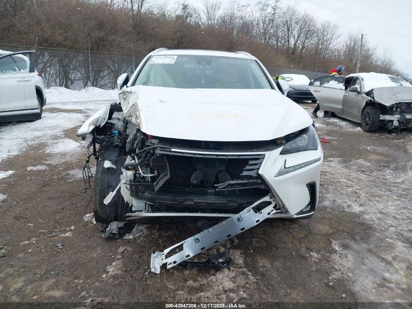 2021 Lexus Nx 300 VIN: JTJDARDZ0M5020105 Lot: 43947208