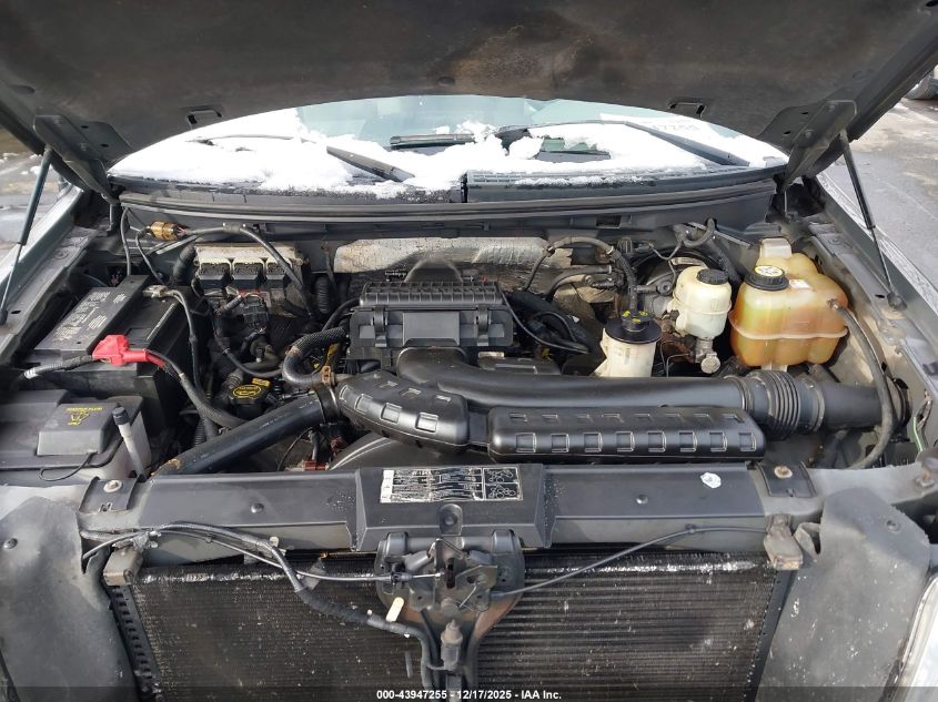 2008 Ford F-150 60Th Anniversary/Fx4/King Ranch/Lariat/Limited/Xlt VIN: 1FTPW14538FA39845 Lot: 43947255