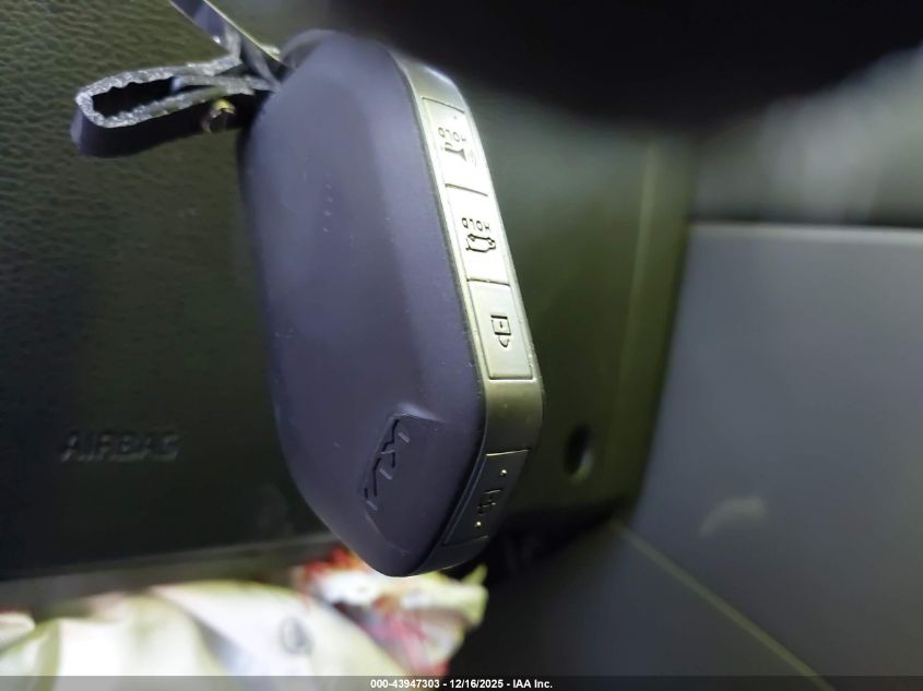 2024 Kia Telluride Sx Prestige VIN: 5XYP5DGC1RG461593 Lot: 43947303