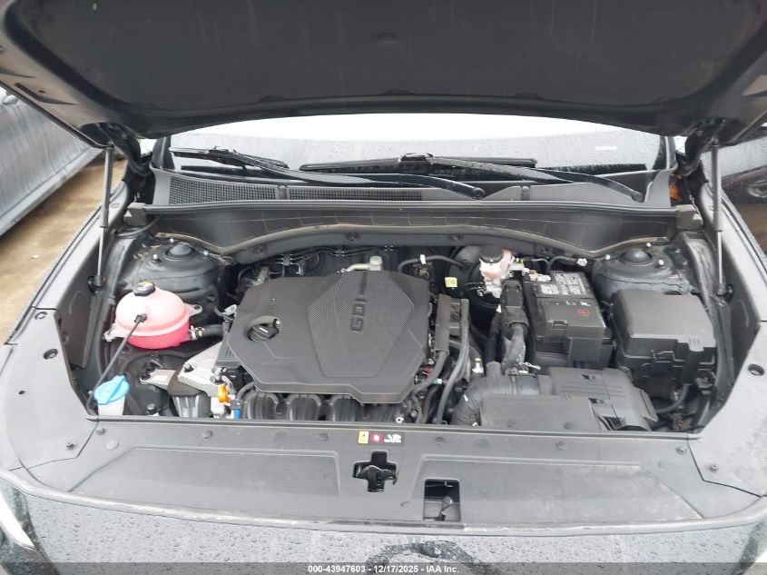 2023 Hyundai Santa Fe Sel VIN: 5NMS24AJ9PH600477 Lot: 43947603