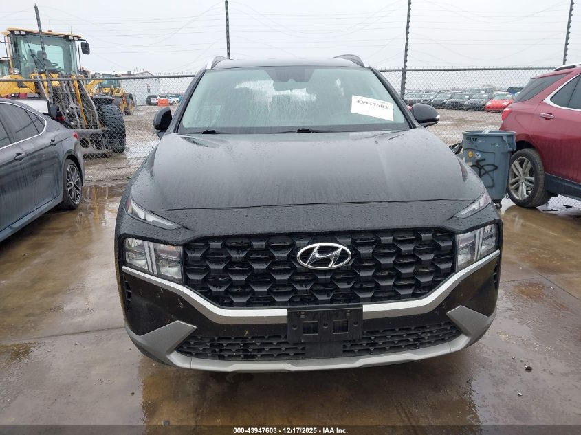 2023 Hyundai Santa Fe Sel VIN: 5NMS24AJ9PH600477 Lot: 43947603