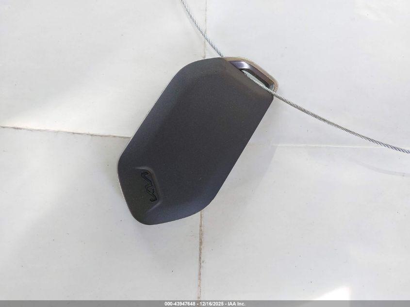 2024 Kia Telluride Sx Prestige VIN: 5XYP5DGC0RG500464 Lot: 43947648