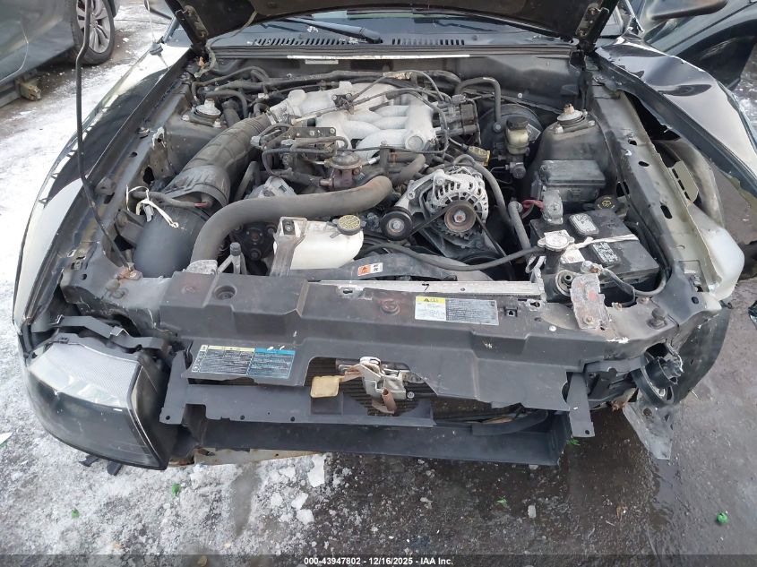 2004 Ford Mustang VIN: 1FAFP44634F224335 Lot: 43947802