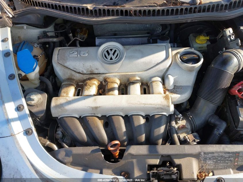 2010 Volkswagen New Beetle 2.5L Final Edition VIN: 3VWPW3AG8AM013052 Lot: 43947832