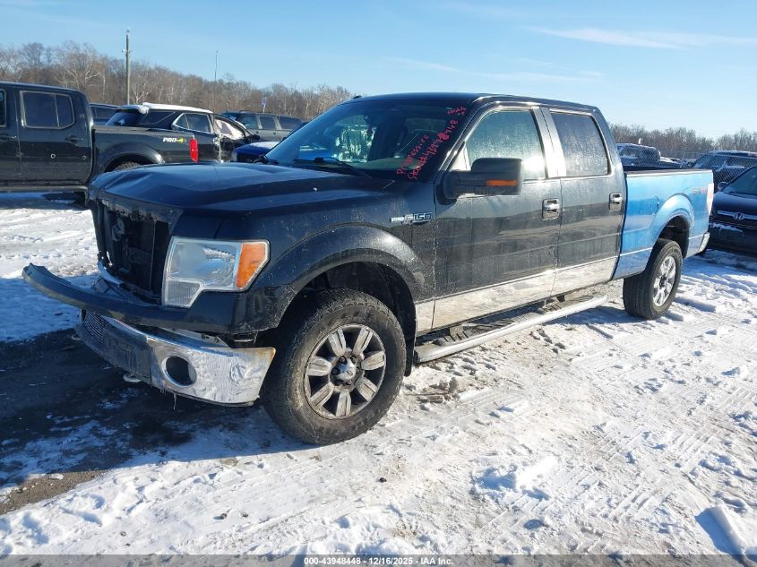 2011 Ford F-150 Xlt VIN: 1FTFW1EF8BFC40523 Lot: 43948448