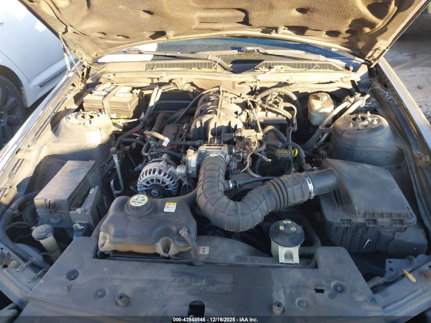 2007 Ford Mustang V6 Deluxe/V6 Premium VIN: 1ZVFT80N075238940 Lot: 43948546