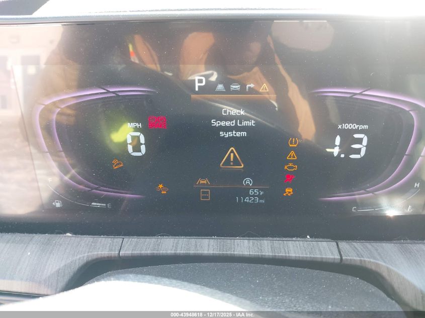 2025 Kia Telluride Ex VIN: 5XYP3DGC8SG581161 Lot: 43948618