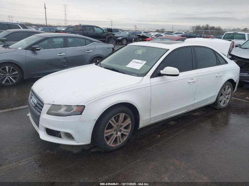 2011 Audi A4 2.0T Premium VIN: WAUBFAFL3BN004187 Lot: 43948641