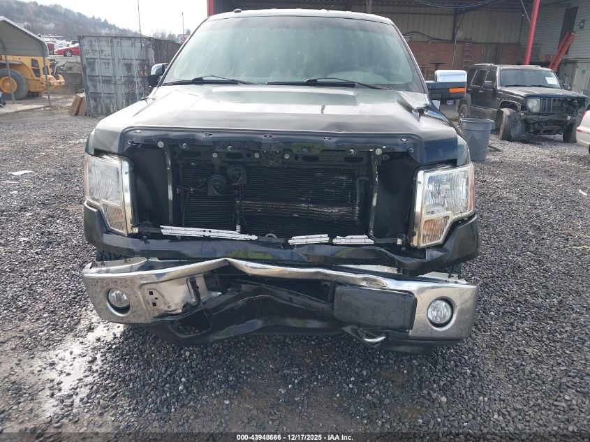 2014 Ford F-150 Xlt VIN: 1FTFW1EF3EKG54448 Lot: 43948666