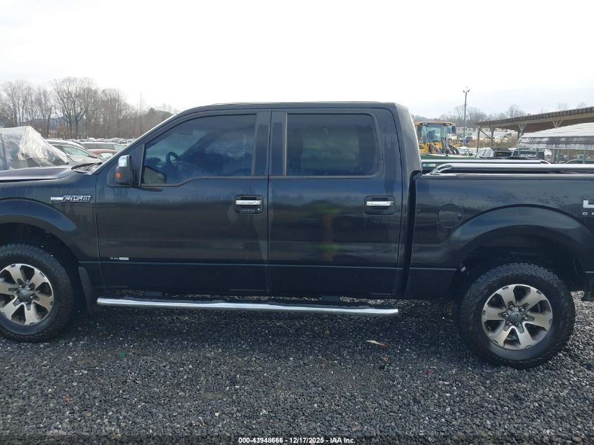 2014 Ford F-150 Xlt VIN: 1FTFW1EF3EKG54448 Lot: 43948666