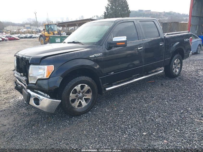 2014 Ford F-150 Xlt VIN: 1FTFW1EF3EKG54448 Lot: 43948666