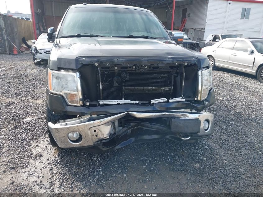 2014 Ford F-150 Xlt VIN: 1FTFW1EF3EKG54448 Lot: 43948666