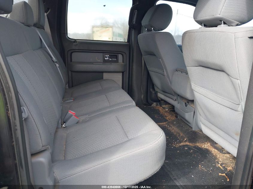 2014 Ford F-150 Xlt VIN: 1FTFW1EF3EKG54448 Lot: 43948666