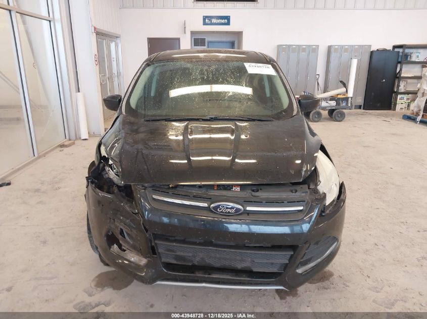 2014 Ford Escape Se VIN: 1FMCU0GX1EUC29013 Lot: 43948728