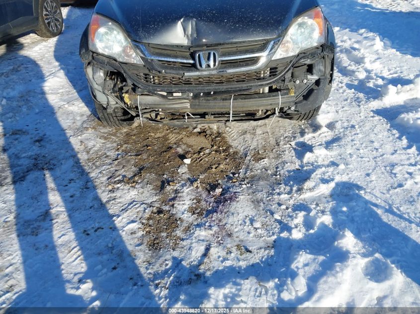 2011 Honda Cr-V Lx VIN: 5J6RE3H37BL023618 Lot: 43948820