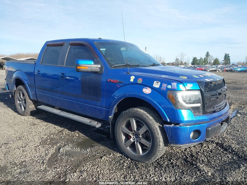 1FTFW1ET6DFA96463 2013 Ford F-150 Fx4 auction photo 1