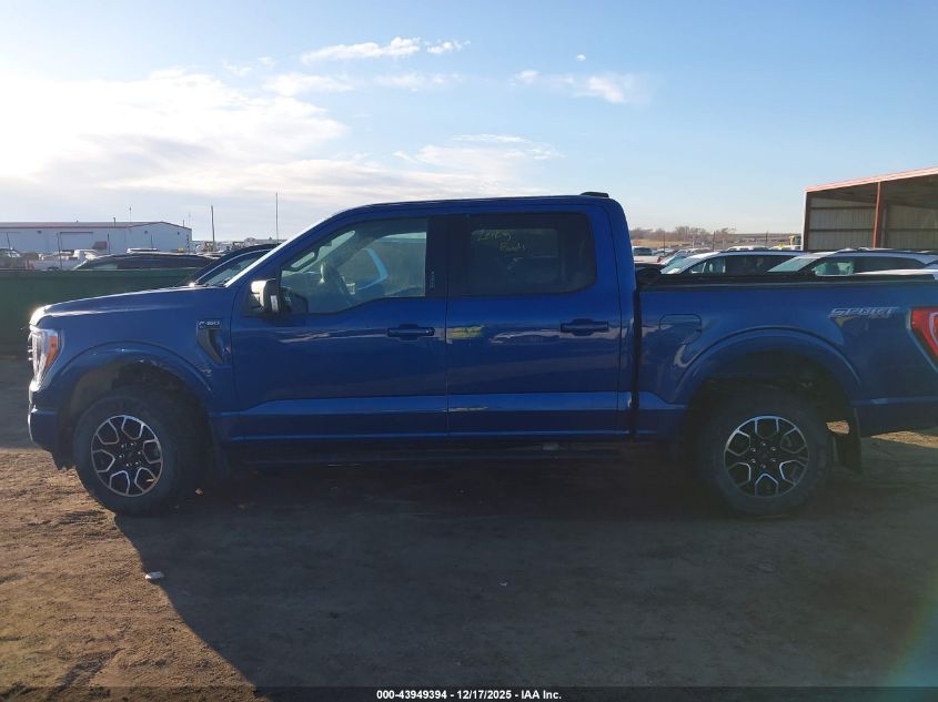 2023 Ford F-150 Xlt VIN: 1FTFW1E56PKD66255 Lot: 43949394