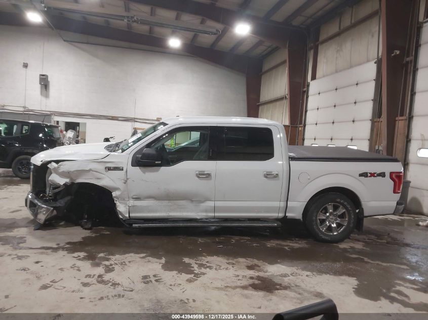 2017 Ford F-150 Xlt VIN: 1FTEW1EP5HFB97479 Lot: 43949598