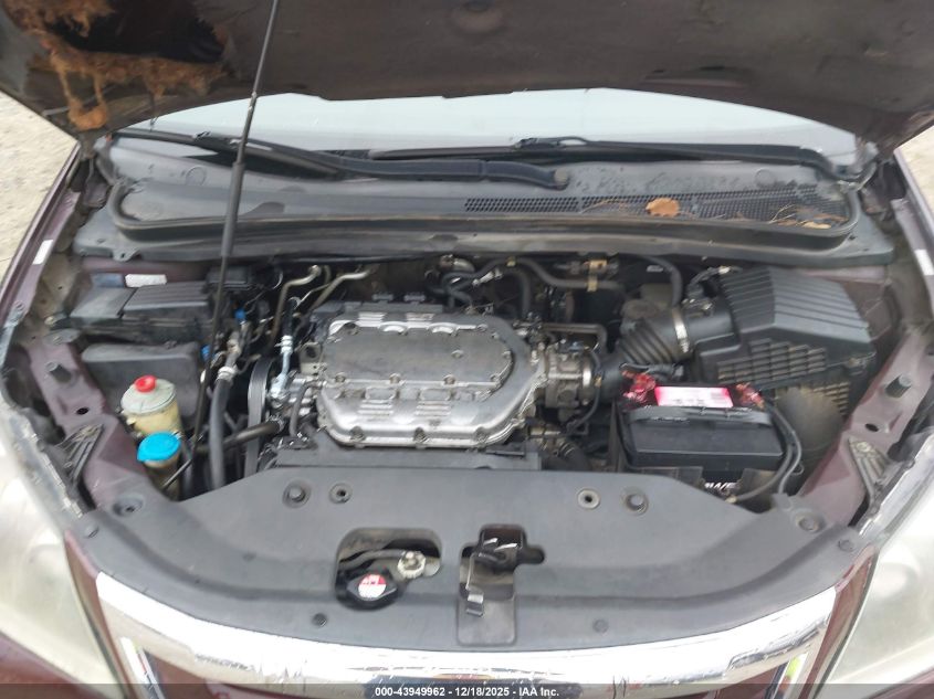 2009 Honda Odyssey Ex-L VIN: 5FNRL38719B021679 Lot: 43949962