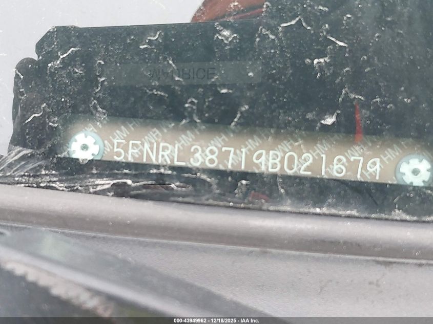 2009 Honda Odyssey Ex-L VIN: 5FNRL38719B021679 Lot: 43949962