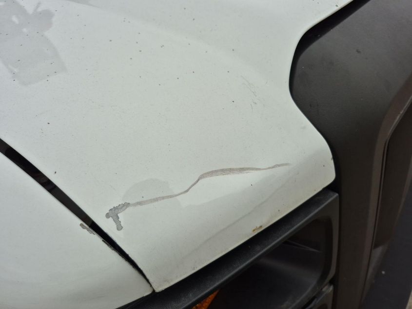 2009 Ford E-350 Super Duty Commercial/Recreational VIN: 1FTSE34L29DA18456 Lot: 43949985