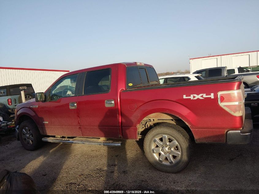 2013 Ford F-150 Xlt VIN: 1FTFW1ET0DKD07485 Lot: 43949989