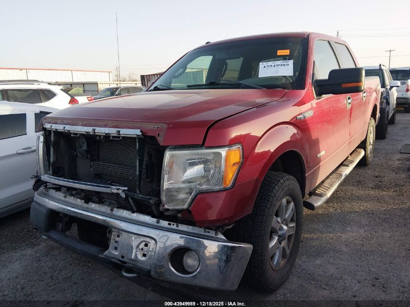 2013 Ford F-150 Xlt VIN: 1FTFW1ET0DKD07485 Lot: 43949989