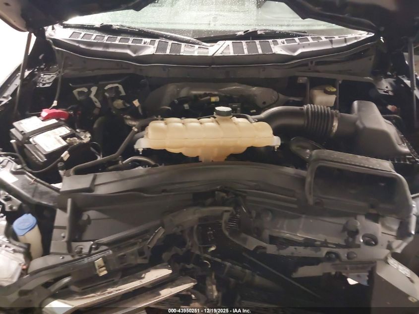 2021 Ford F-150 Xlt VIN: 1FTEX1EPXMFA44345 Lot: 43950251