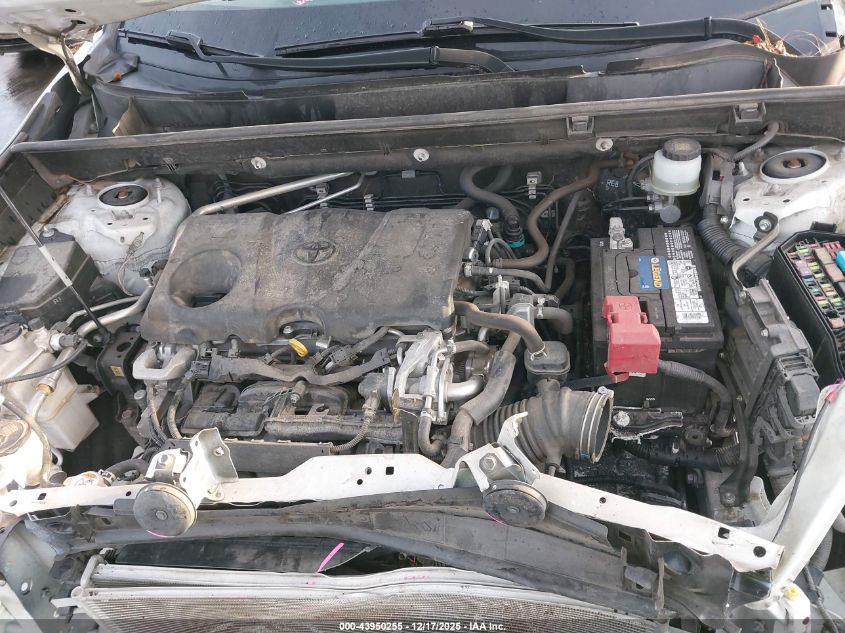 2019 Toyota Rav4 Le VIN: JTMH1RFV4KJ006632 Lot: 43950255