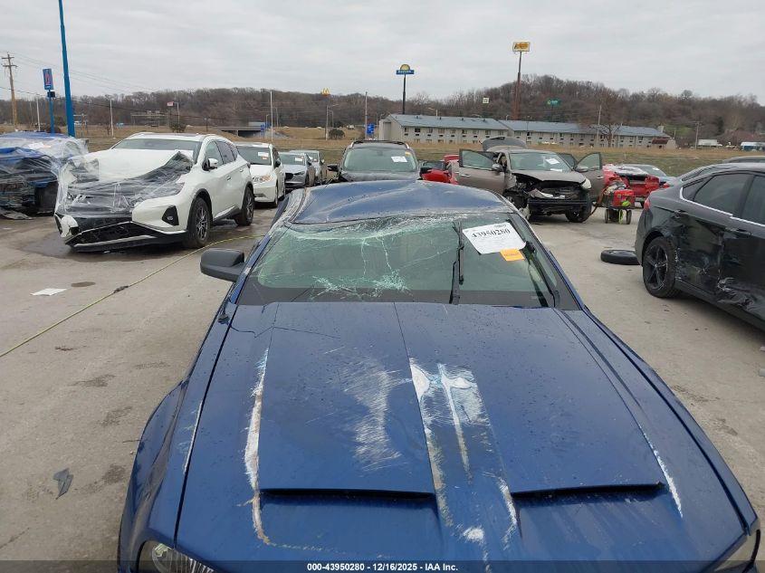 2007 Ford Mustang Gt Deluxe/Gt Premium VIN: 1ZVFT82H075196051 Lot: 43950280