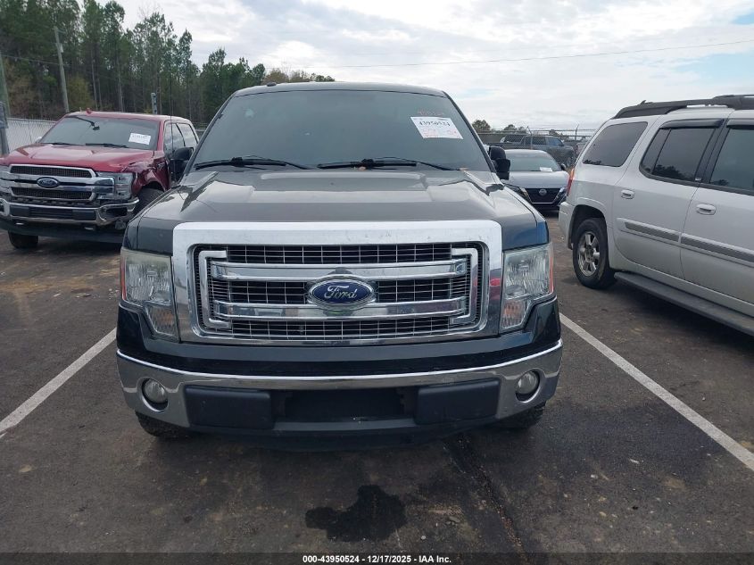 2013 Ford F-150 Xlt VIN: 1FTFW1CF8DFD38019 Lot: 43950524