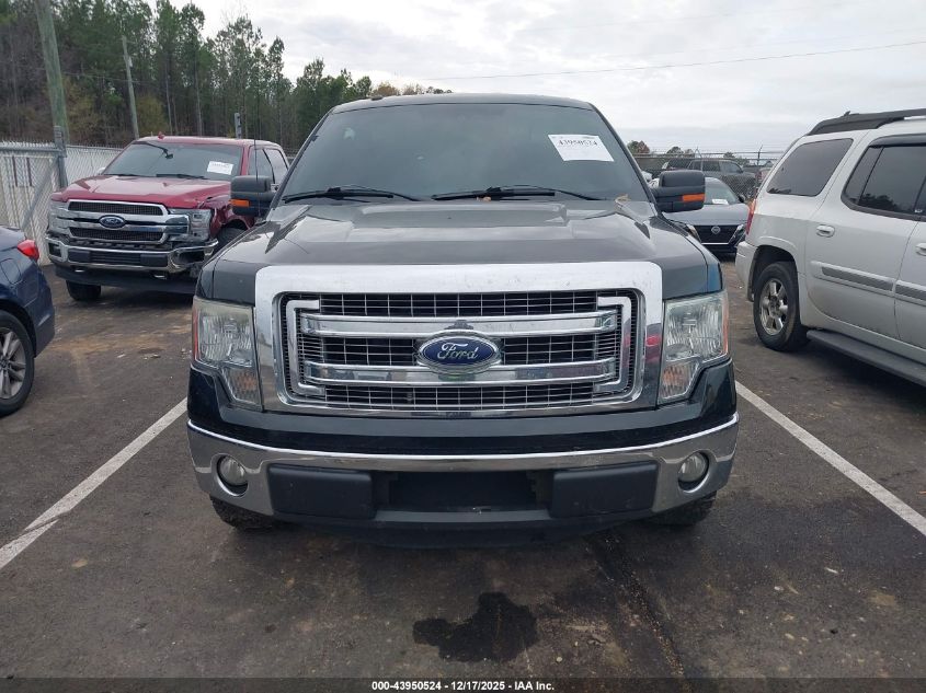 2013 Ford F-150 Xlt VIN: 1FTFW1CF8DFD38019 Lot: 43950524