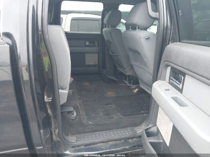 2013 Ford F-150 Xlt VIN: 1FTFW1CF8DFD38019 Lot: 43950524