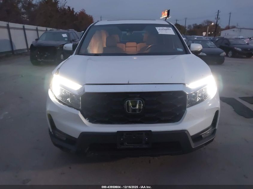 2023 Honda Passport Awd Ex-L VIN: 5FNYF8H54PB033577 Lot: 43950604