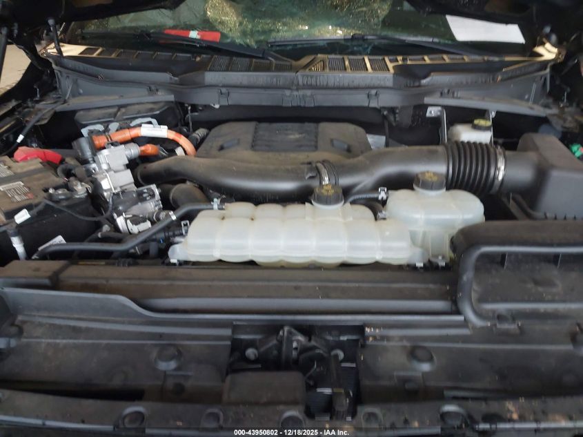 2023 Ford F-150 Xlt VIN: 1FTFW1ED9PFC45381 Lot: 43950802