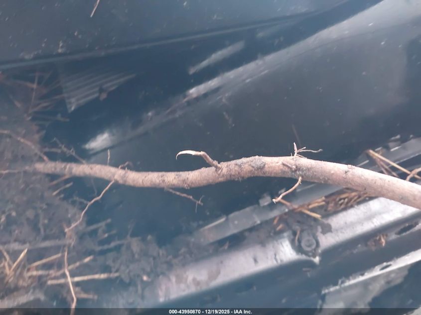 2024 Chevrolet Blazer Awd Rs VIN: 3GNKBKRS3RS282411 Lot: 43950870