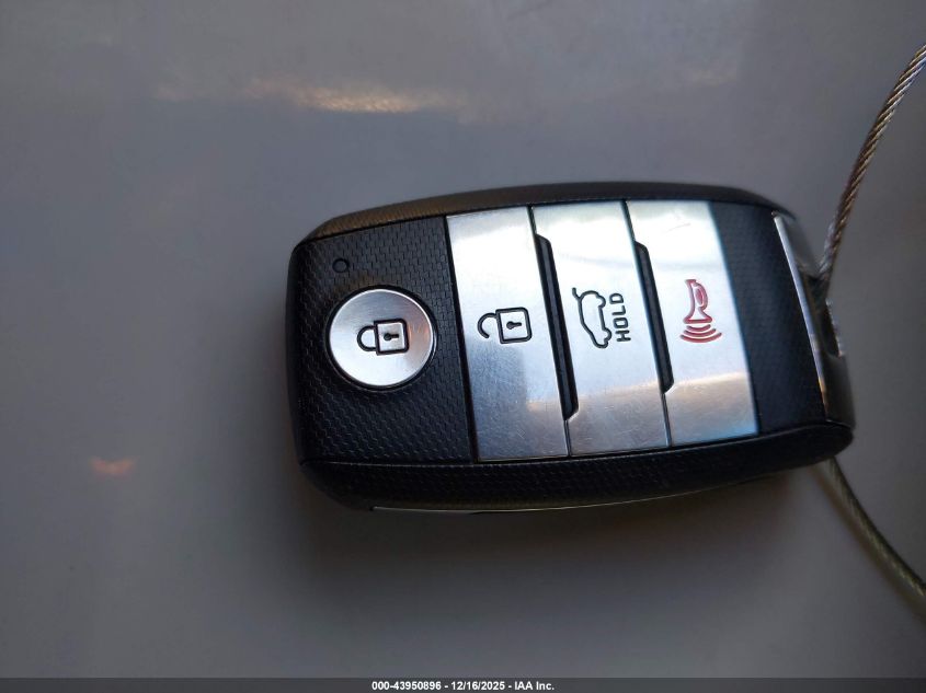 2019 Kia Niro Ev Ex VIN: KNDCC3LG1K5017202 Lot: 43950896