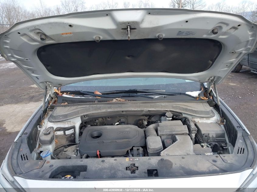 2020 Hyundai Santa Fe Sel VIN: 5NMS3CAD7LH143373 Lot: 43950938