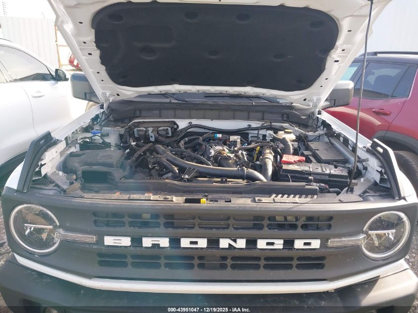 2024 Ford Bronco Black Diamond VIN: 1FMEE1BP3RLB53986 Lot: 43951047