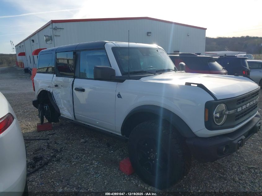 2024 Ford Bronco Black Diamond VIN: 1FMEE1BP3RLB53986 Lot: 43951047