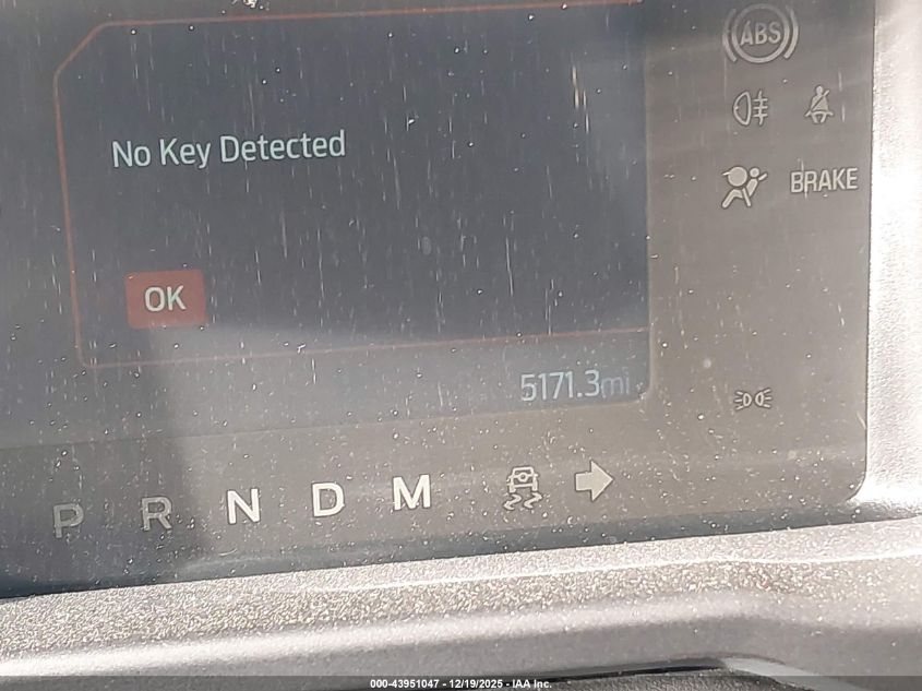 2024 Ford Bronco Black Diamond VIN: 1FMEE1BP3RLB53986 Lot: 43951047