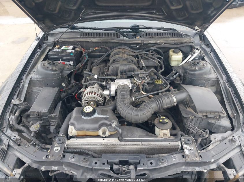 2006 Ford Mustang V6 VIN: 1ZVFT80N065157502 Lot: 43951113