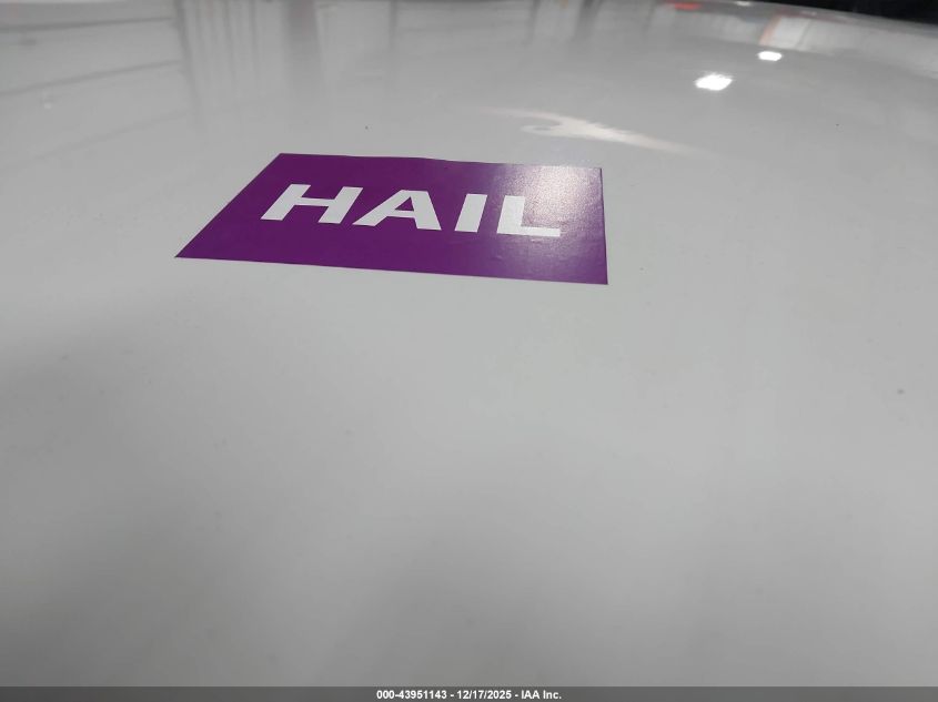 2019 Dodge Grand Caravan Sxt VIN: 2C4RDGCG0KR694338 Lot: 43951143