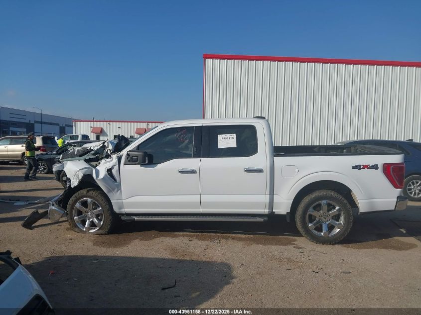 2023 Ford F-150 Xlt VIN: 1FTFW1E55PKD96864 Lot: 43951158